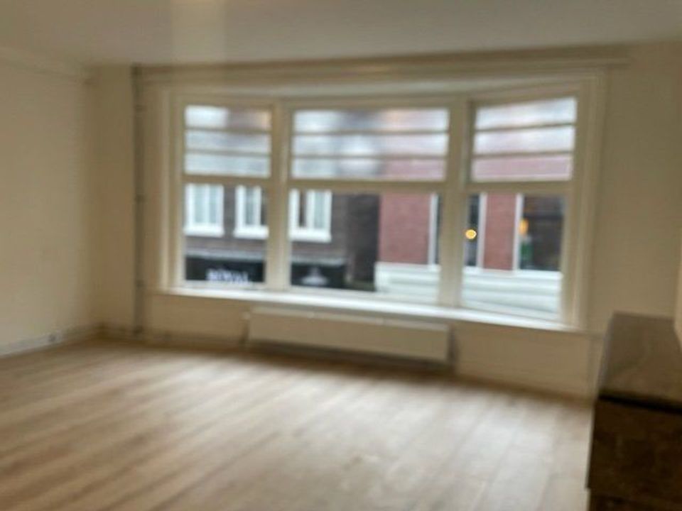 Haarlemmerstraat, Leiden