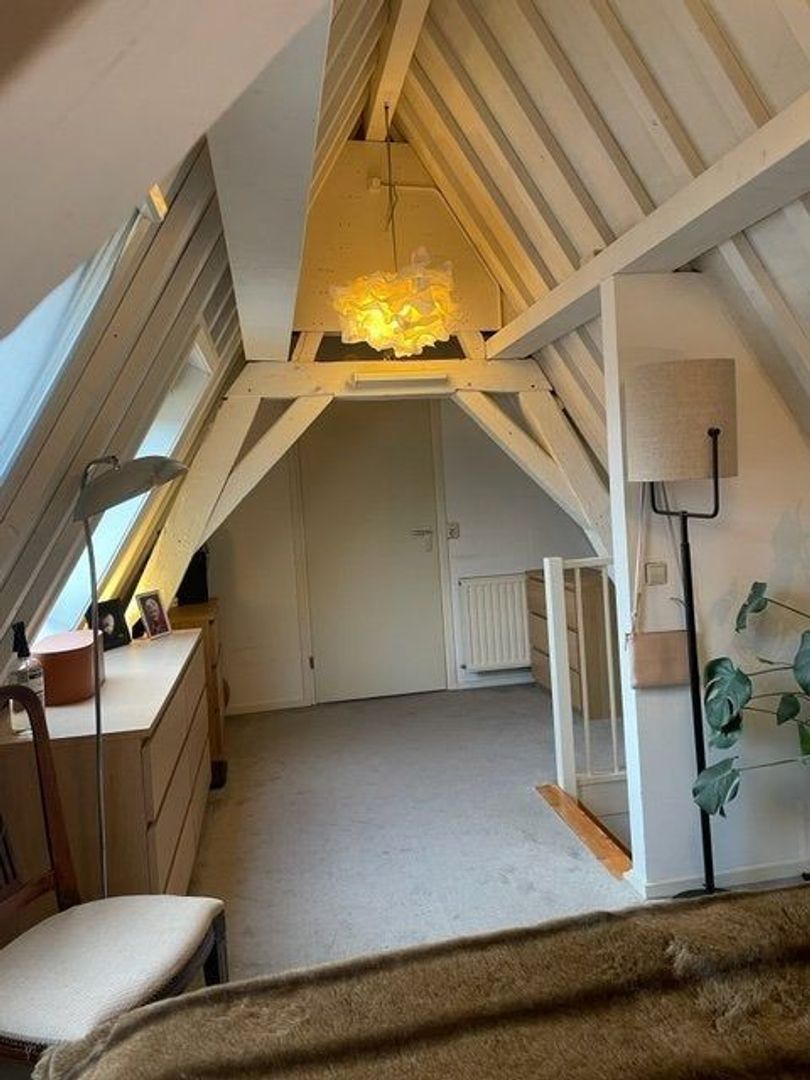 Oude Rijn, Leiden foto-13