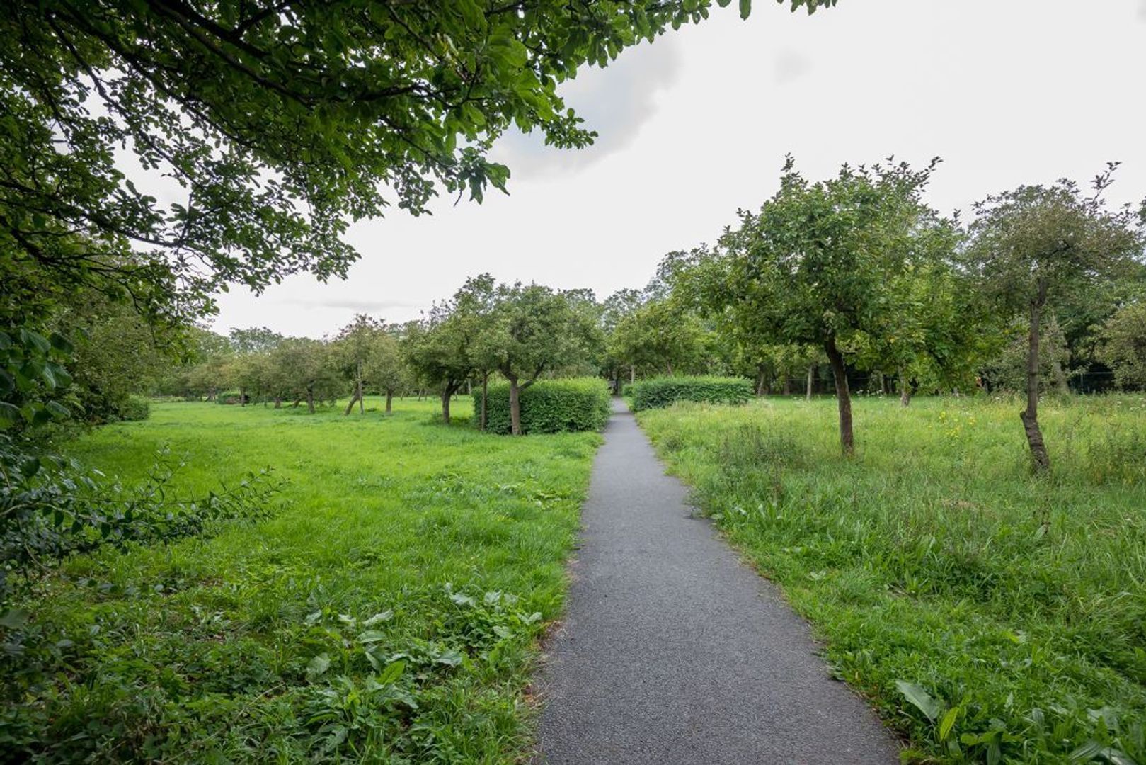Bietenakker 1, Zoetermeer foto-44