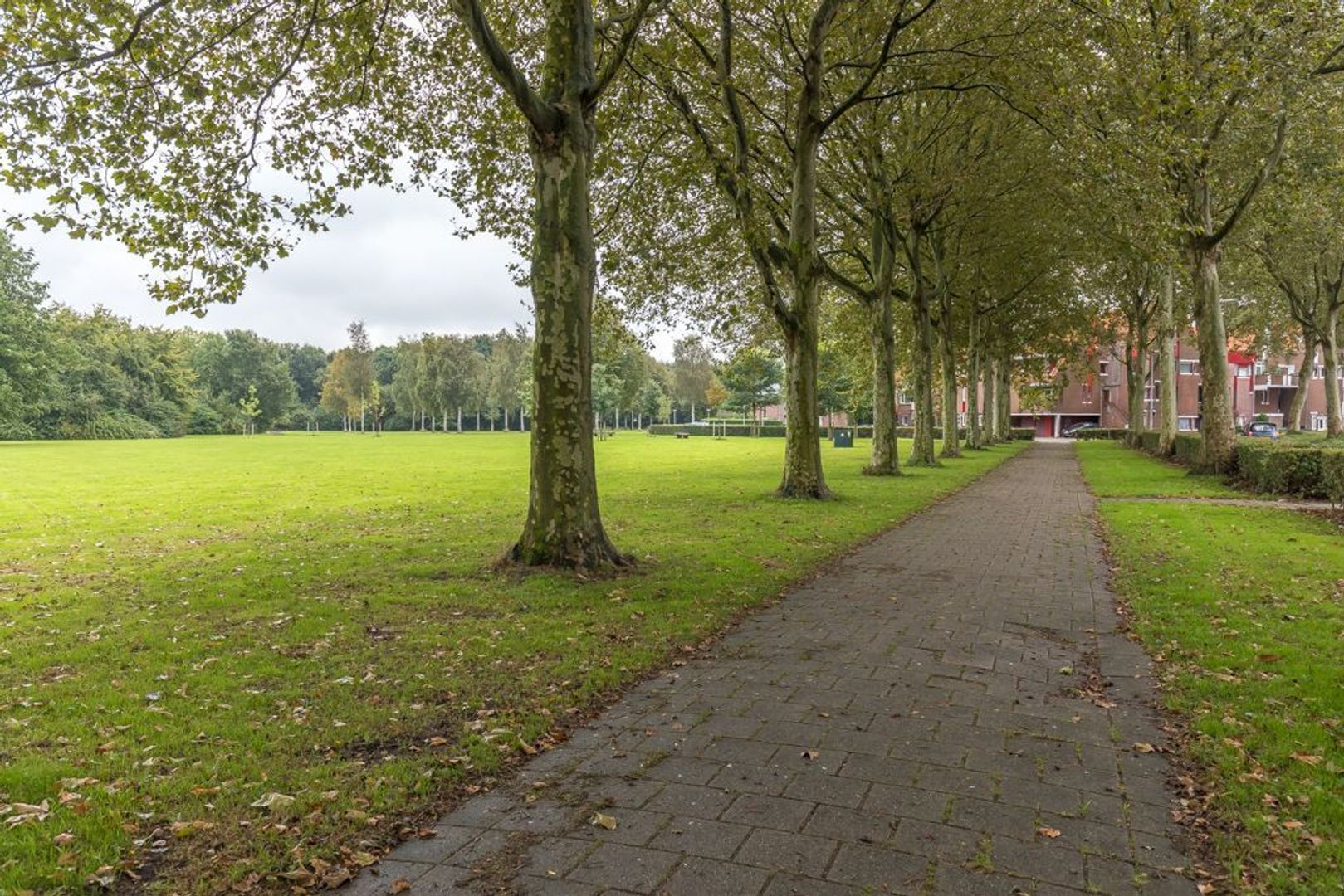 Tarweakker 9, Zoetermeer foto-27