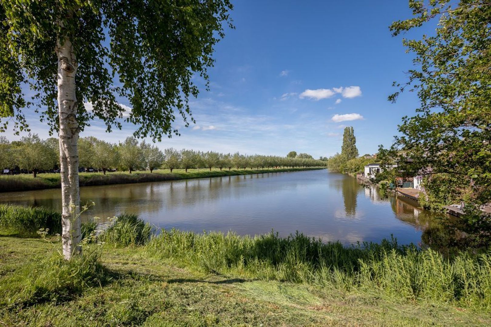 Goudenregenzoom 83, Zoetermeer foto-0