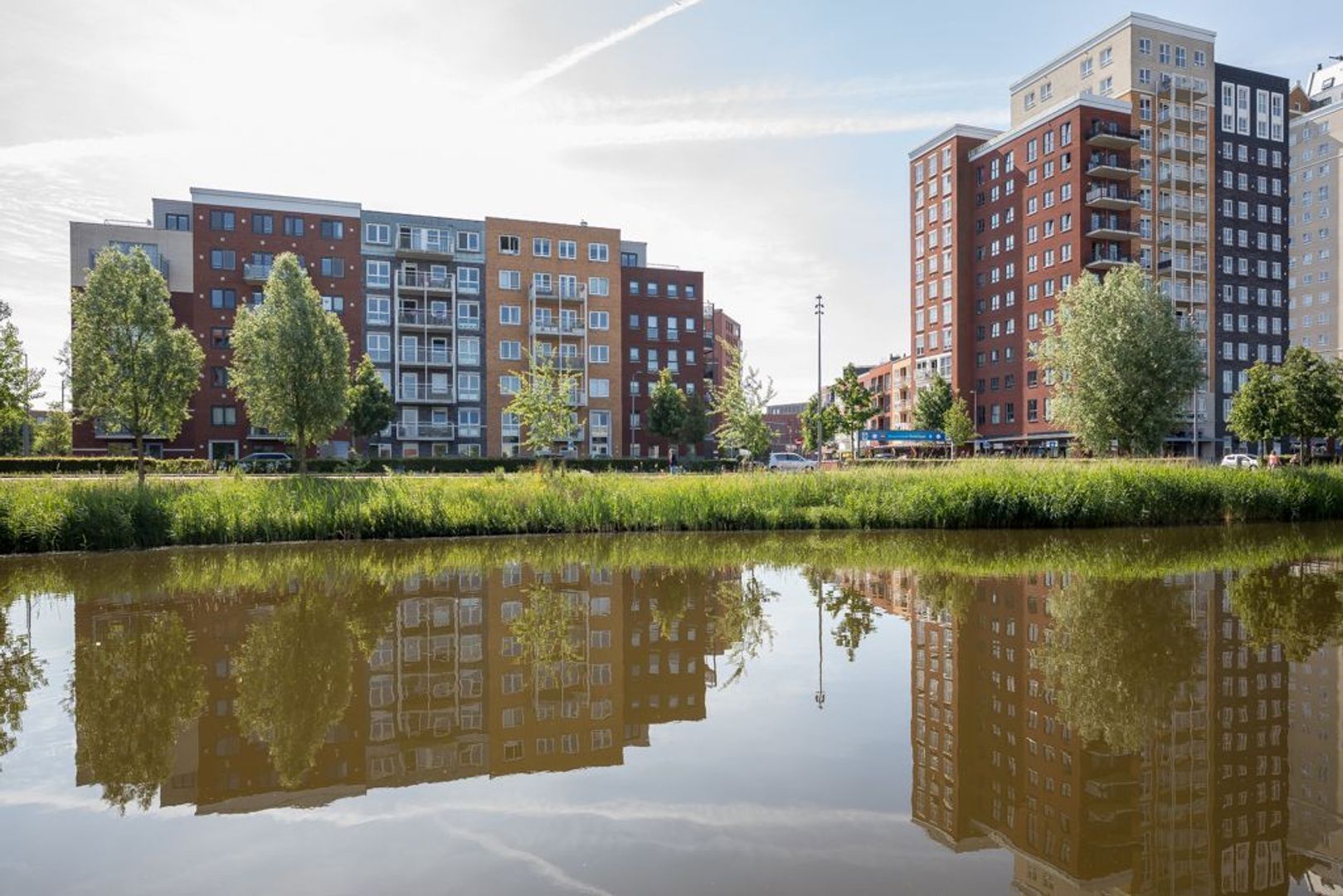 Westerschelde 37, Zoetermeer foto-6