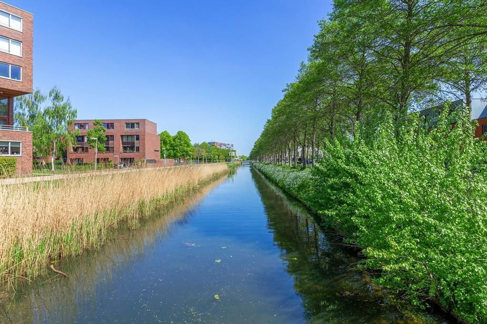 Limbahout 18, Zoetermeer foto-61