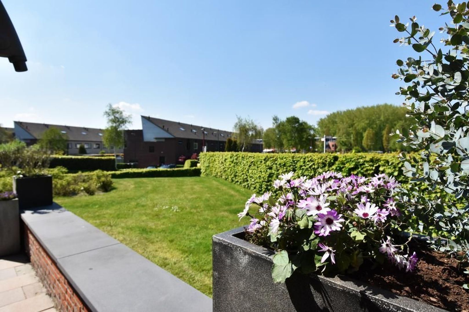 Azobehout 19, Zoetermeer foto-38