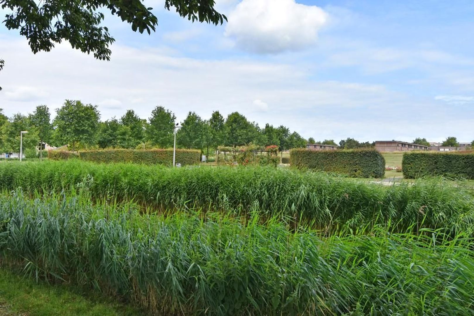 Larikszoom 8, Zoetermeer foto-39