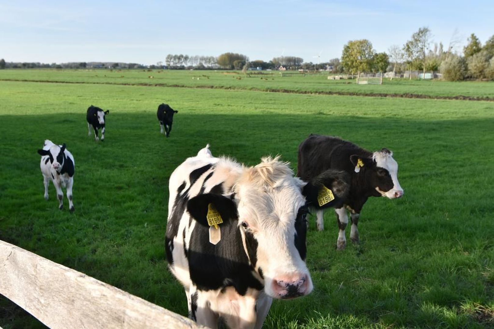 Zuidbuurtseweg 2, Zoeterwoude foto-36