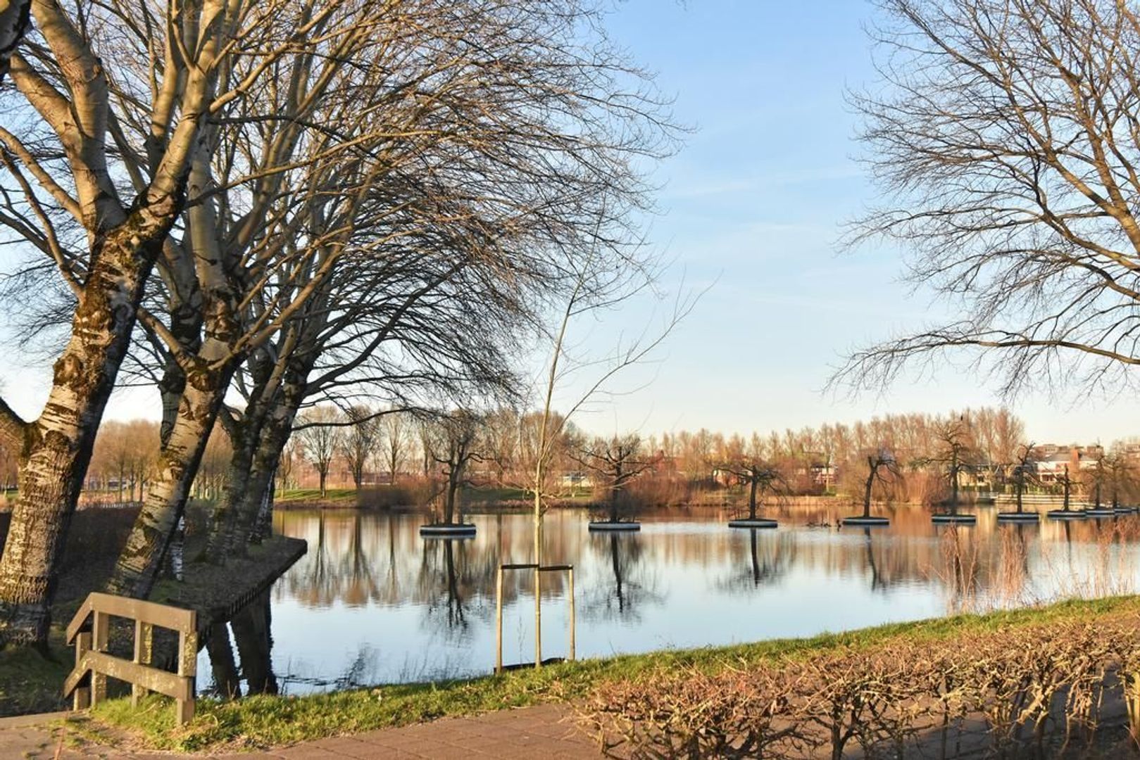 Zilverberkzoom 7, Zoetermeer foto-52