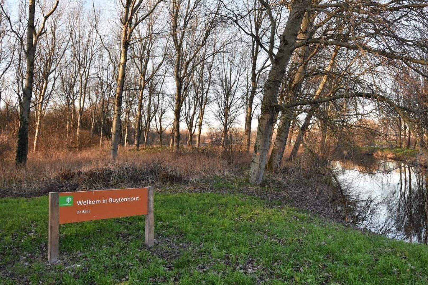 Zilverberkzoom 7, Zoetermeer foto-55