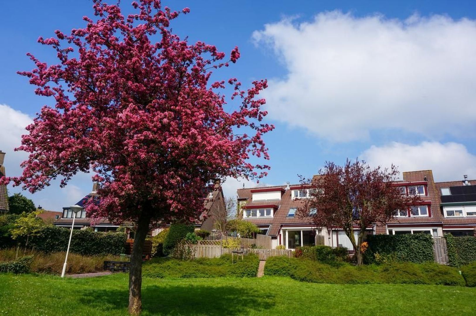 Salomeschouw 39, Zoetermeer foto-46