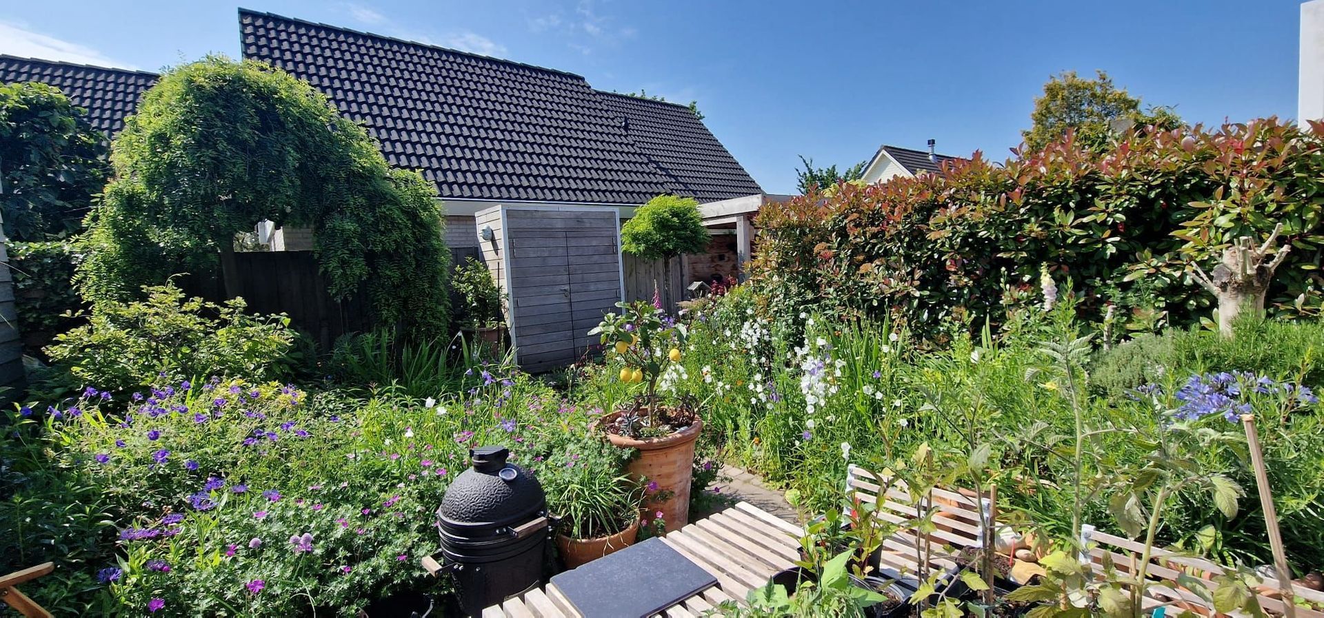 Agaat 32, Zoetermeer foto-42
