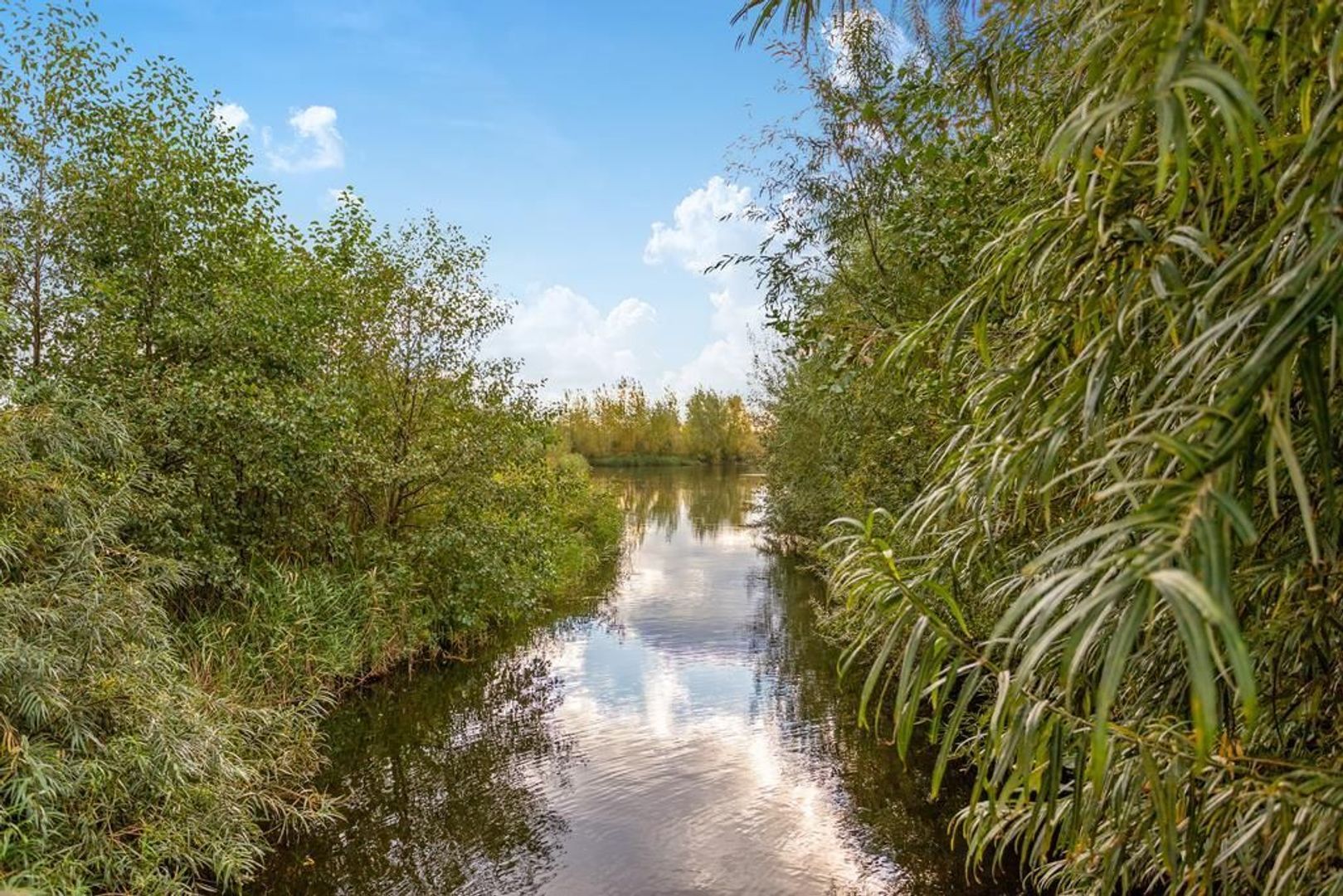 Rijsoortstraat 15, Zoetermeer foto-33