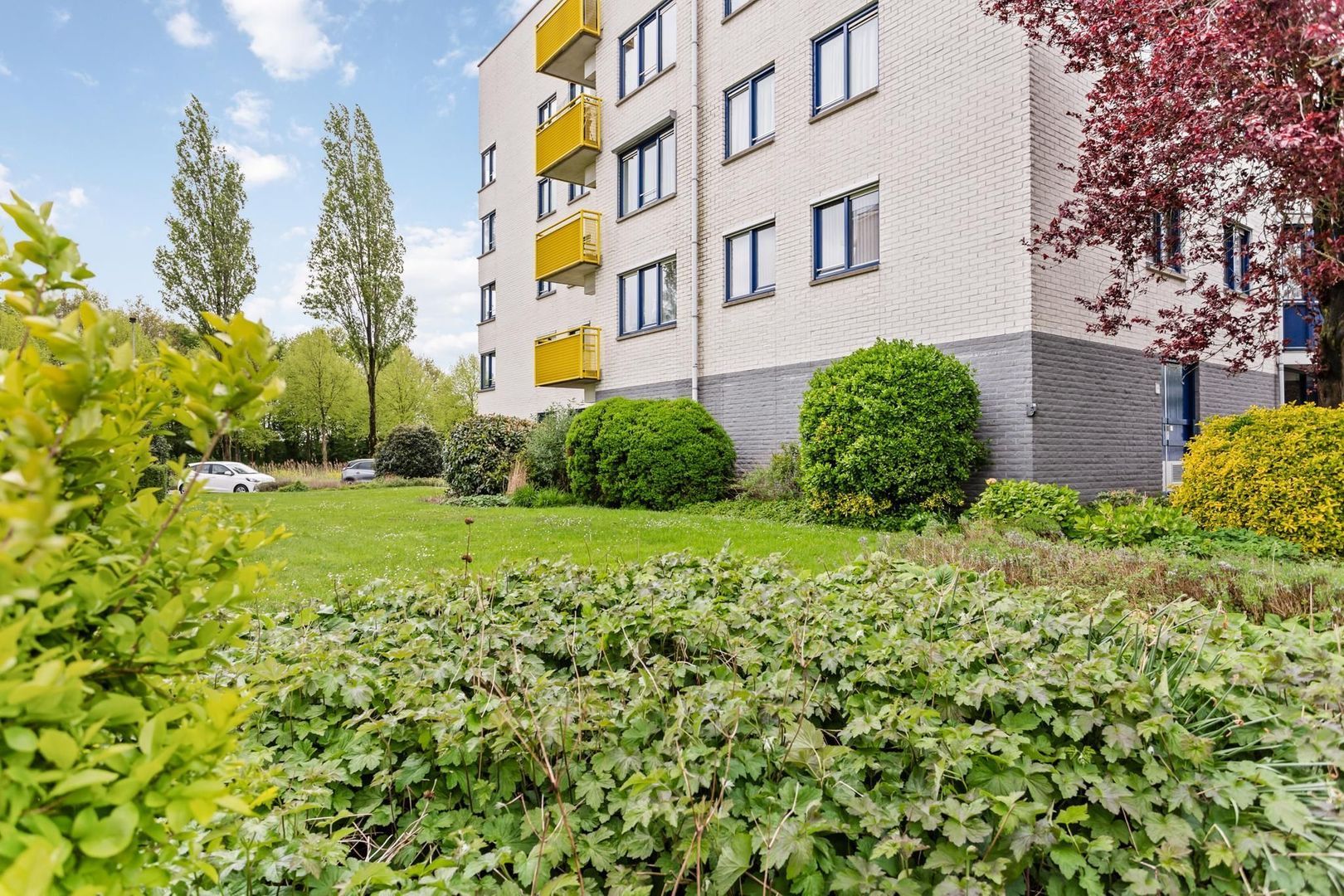 Mosgroen 193, Zoetermeer foto-20