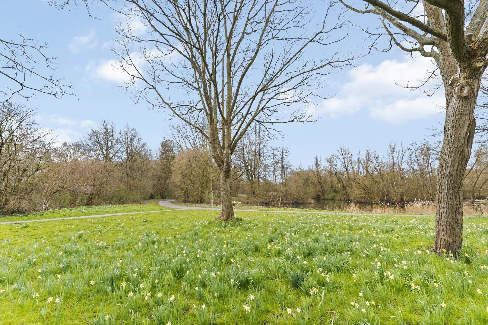 Valenberg 17, Zoetermeer foto-50