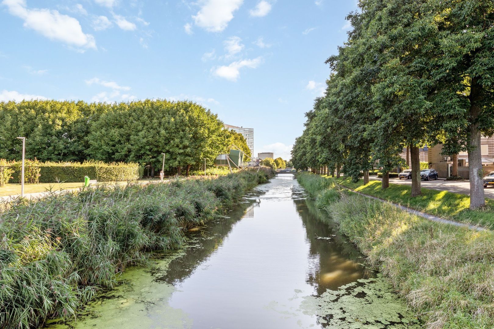 Laurierzoom 3, Zoetermeer foto-27
