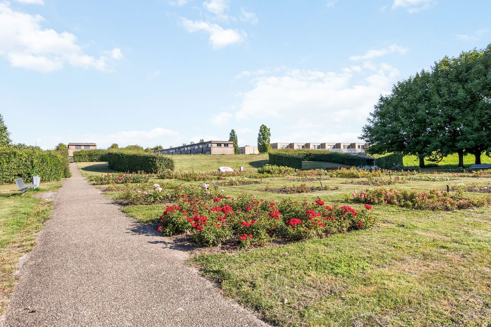 Laurierzoom 3, Zoetermeer foto-29