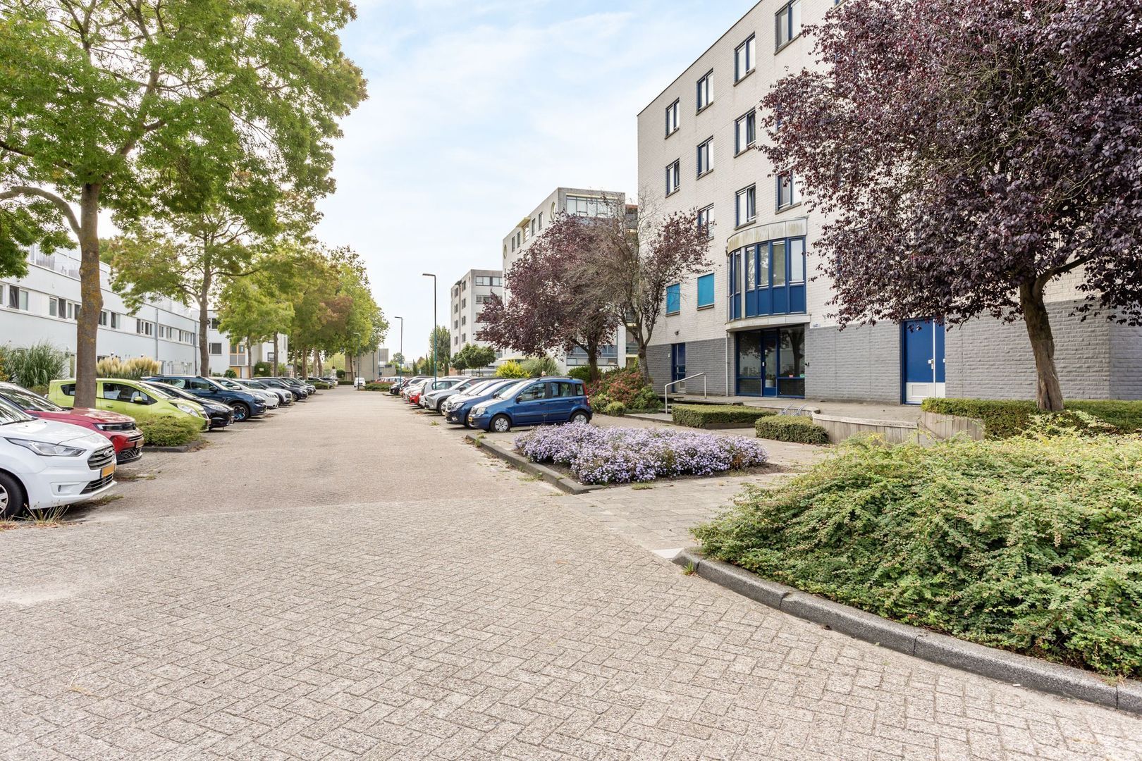 Mosgroen 213, Zoetermeer foto-26