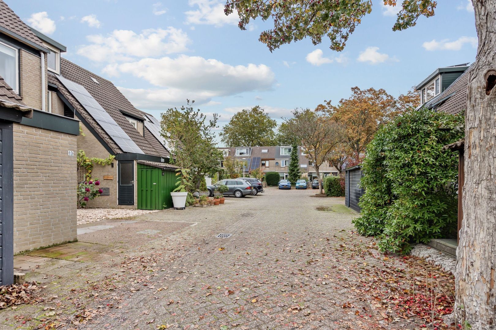 Salamandersloot 13, Zoetermeer foto-33