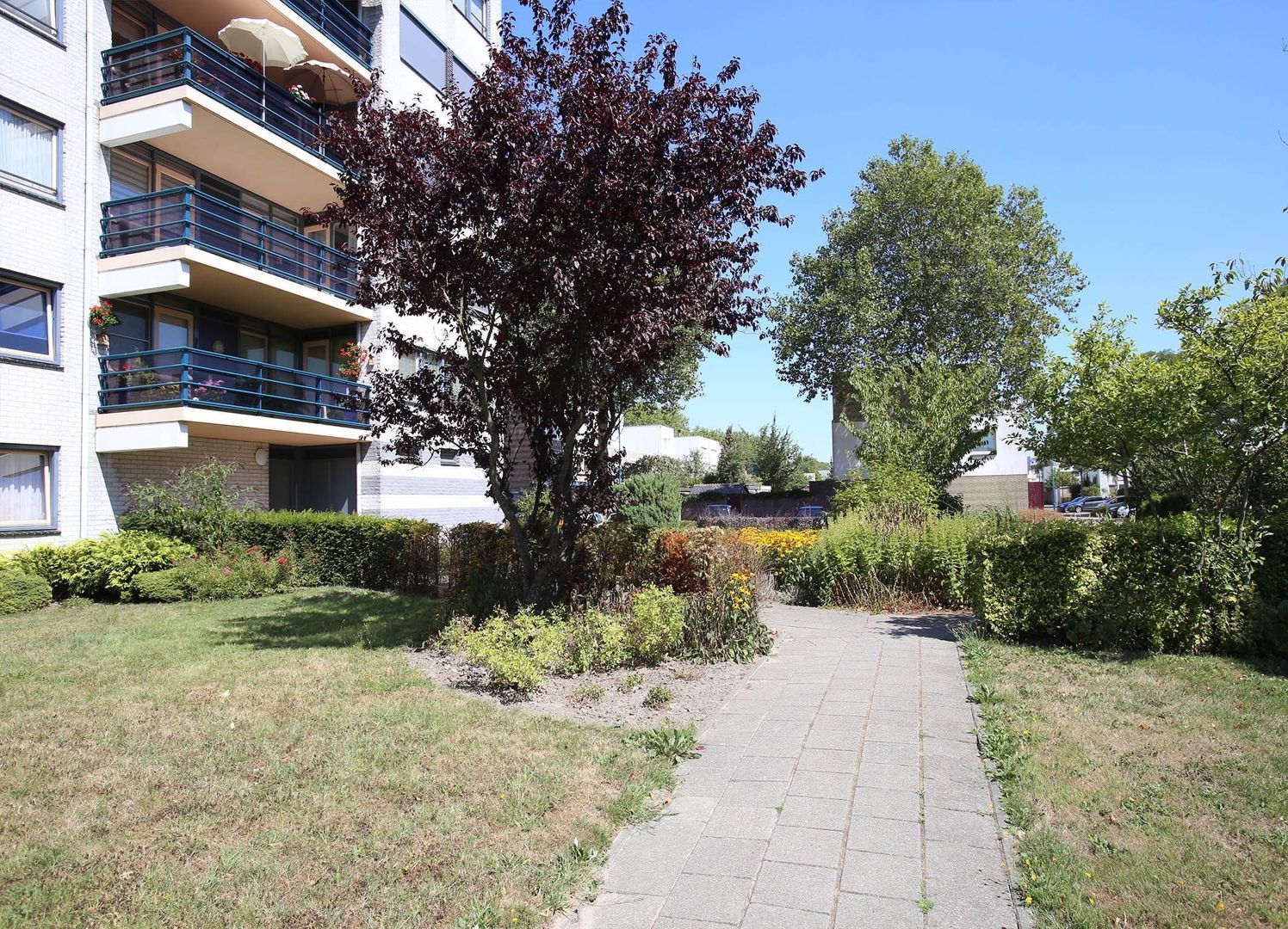 Mosgroen 51, Zoetermeer foto-3