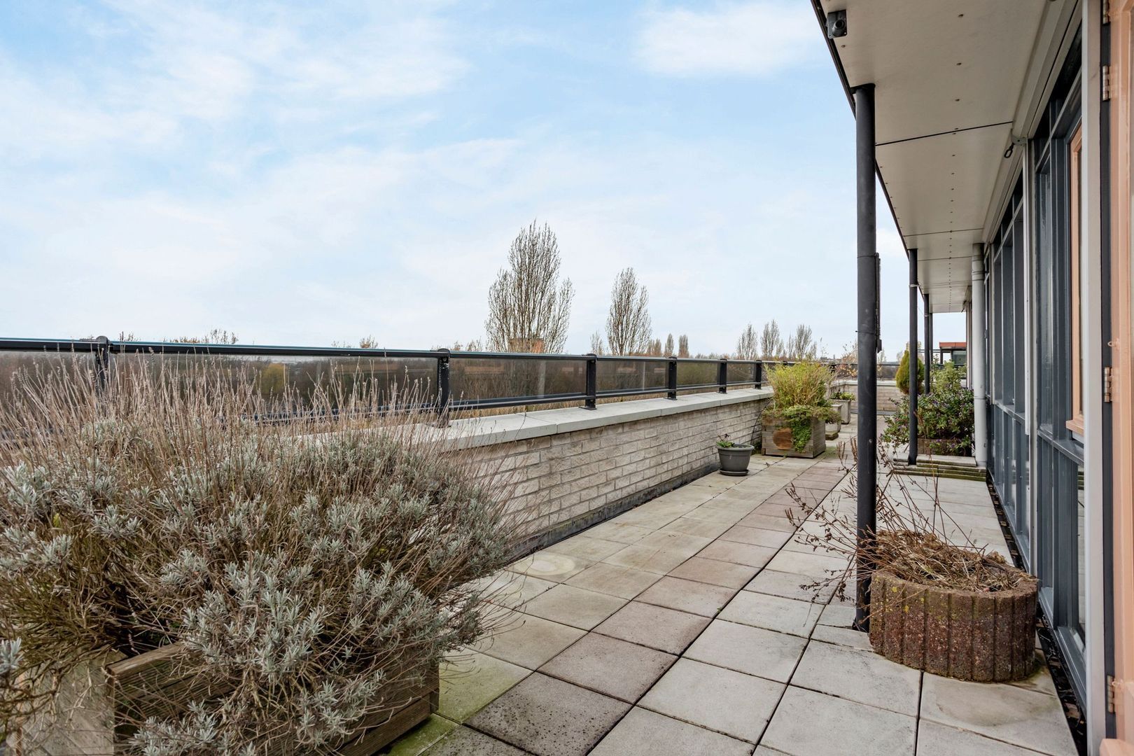 Mosgroen 309, Zoetermeer foto-16