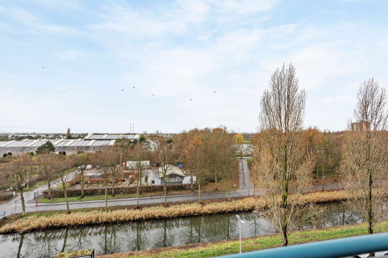 Mosgroen 309, Zoetermeer foto-20