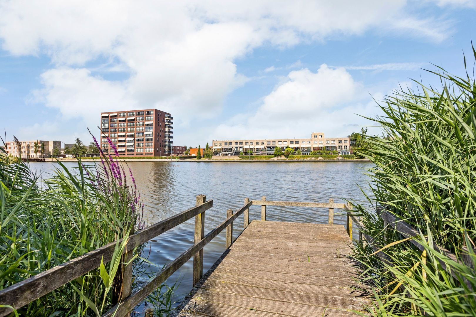 Tasmanië 26, Zoetermeer foto-41