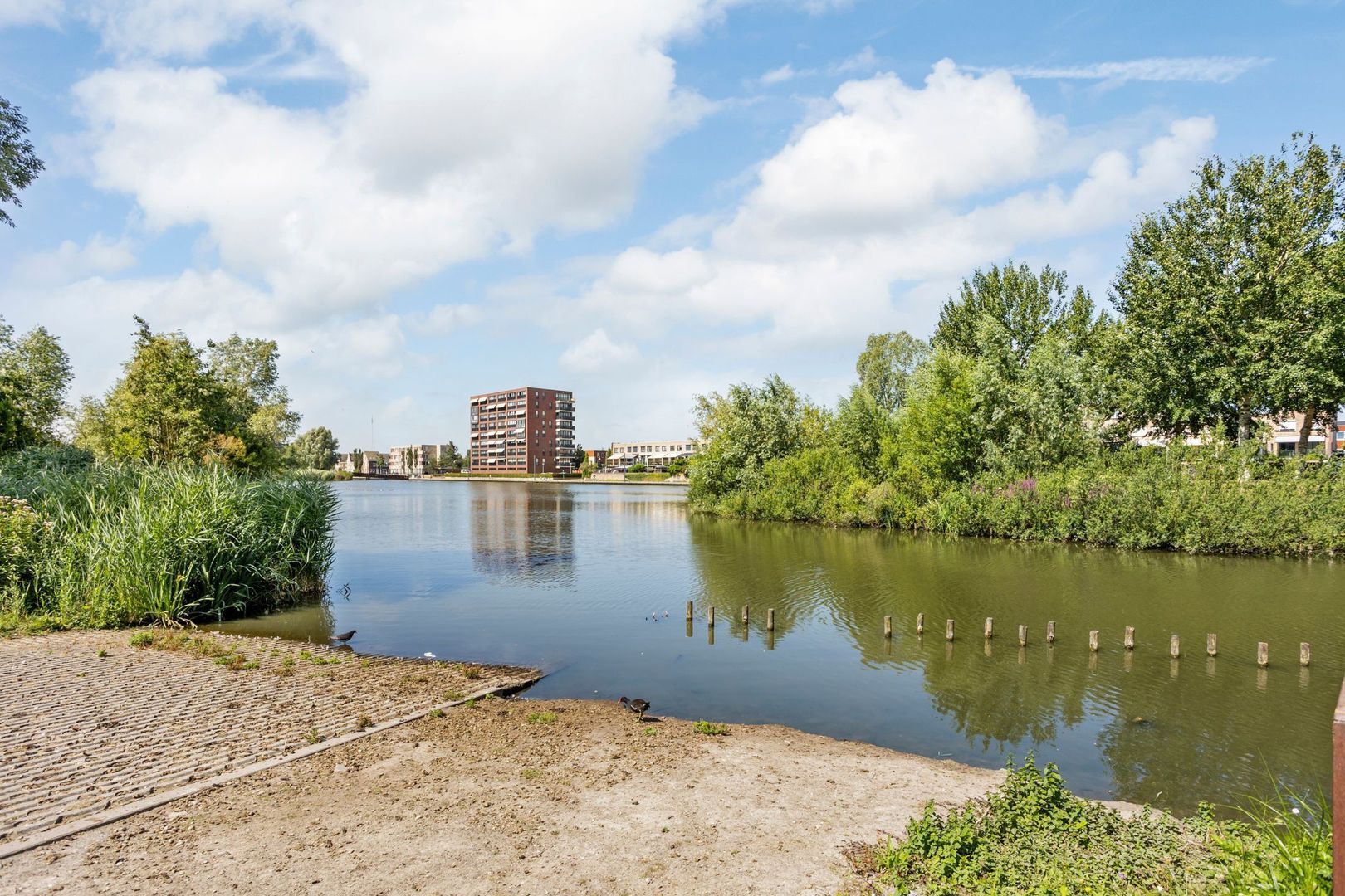 Tasmanië 26, Zoetermeer foto-44