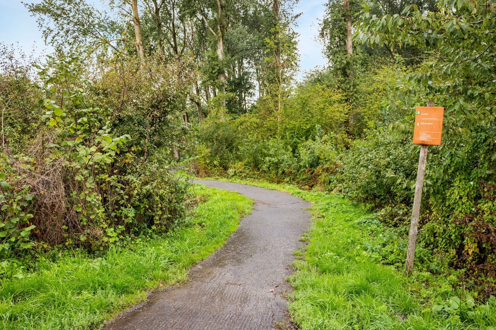 Bodohout 9, Zoetermeer foto-54
