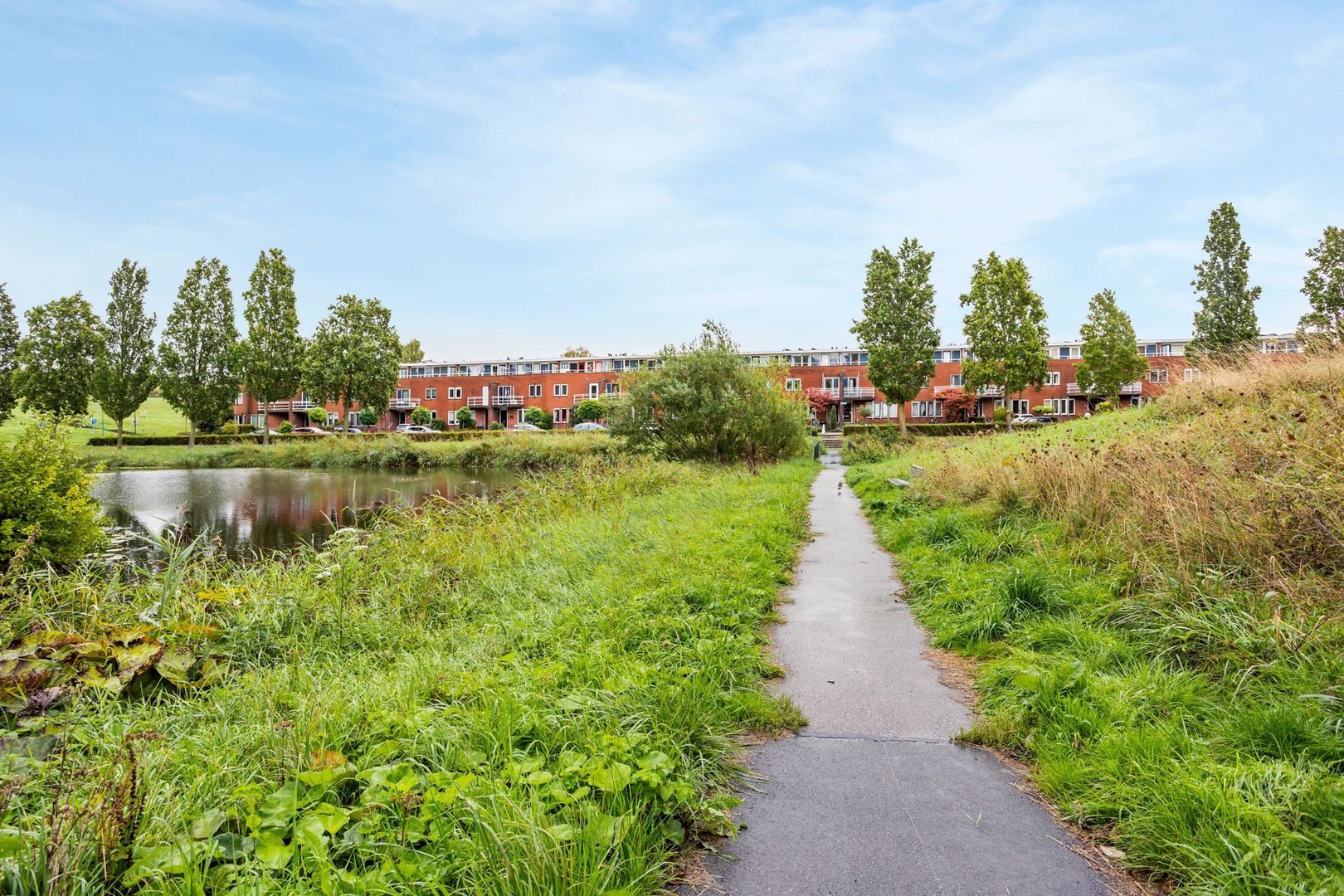 Bodohout 9, Zoetermeer foto-55