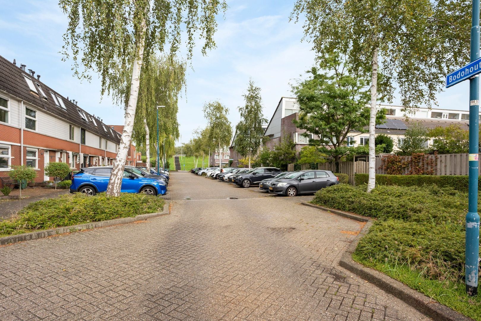 Bodohout 9, Zoetermeer foto-52