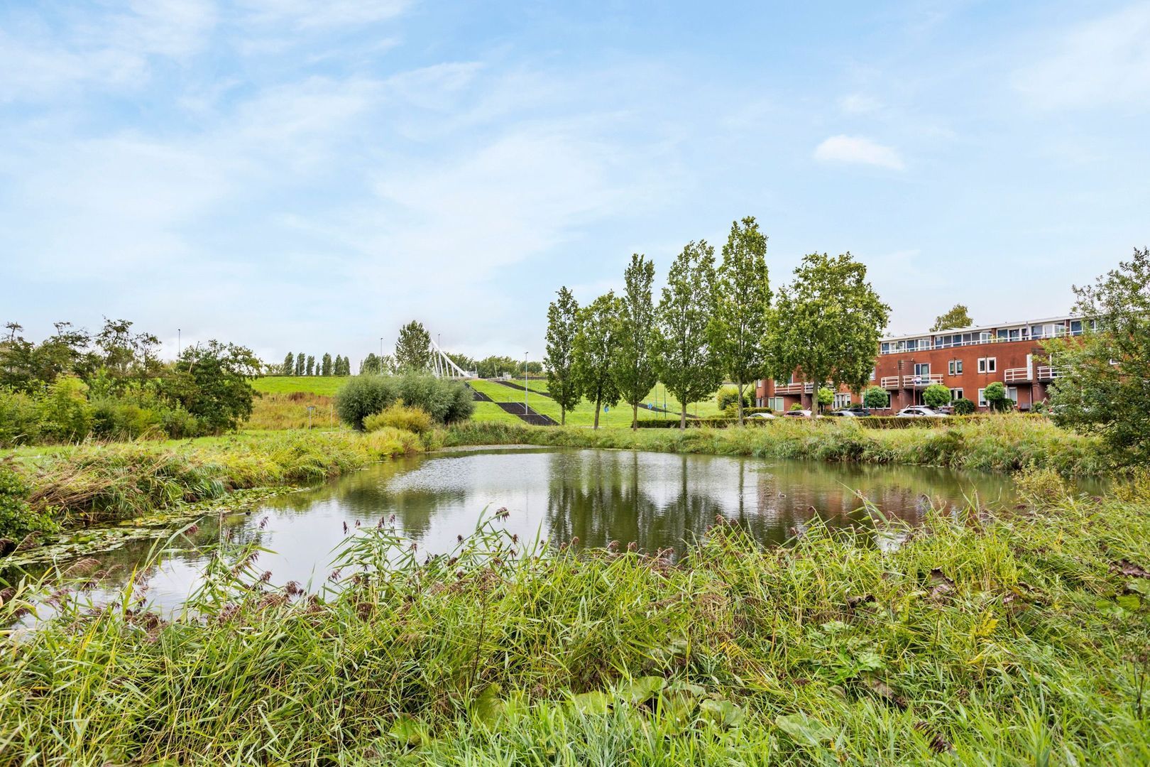 Bodohout 9, Zoetermeer foto-56