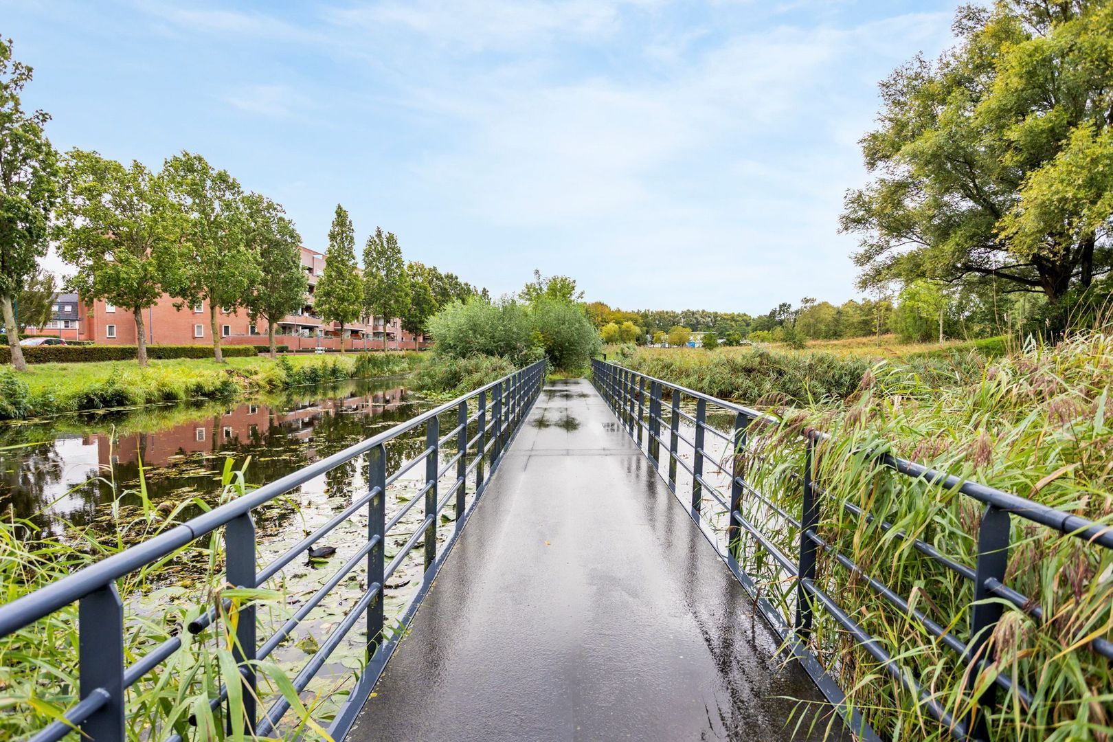 Bodohout 9, Zoetermeer foto-57