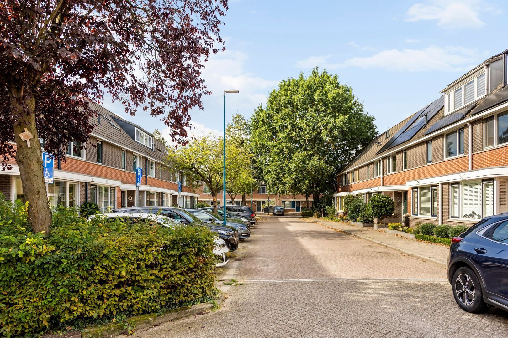 Robijn 20, Zoetermeer foto-38