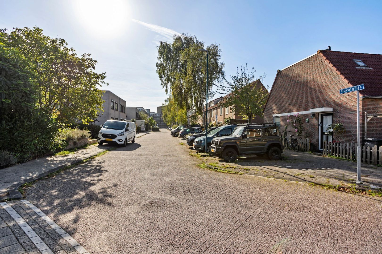 Parelgrijs 1, Zoetermeer foto-31