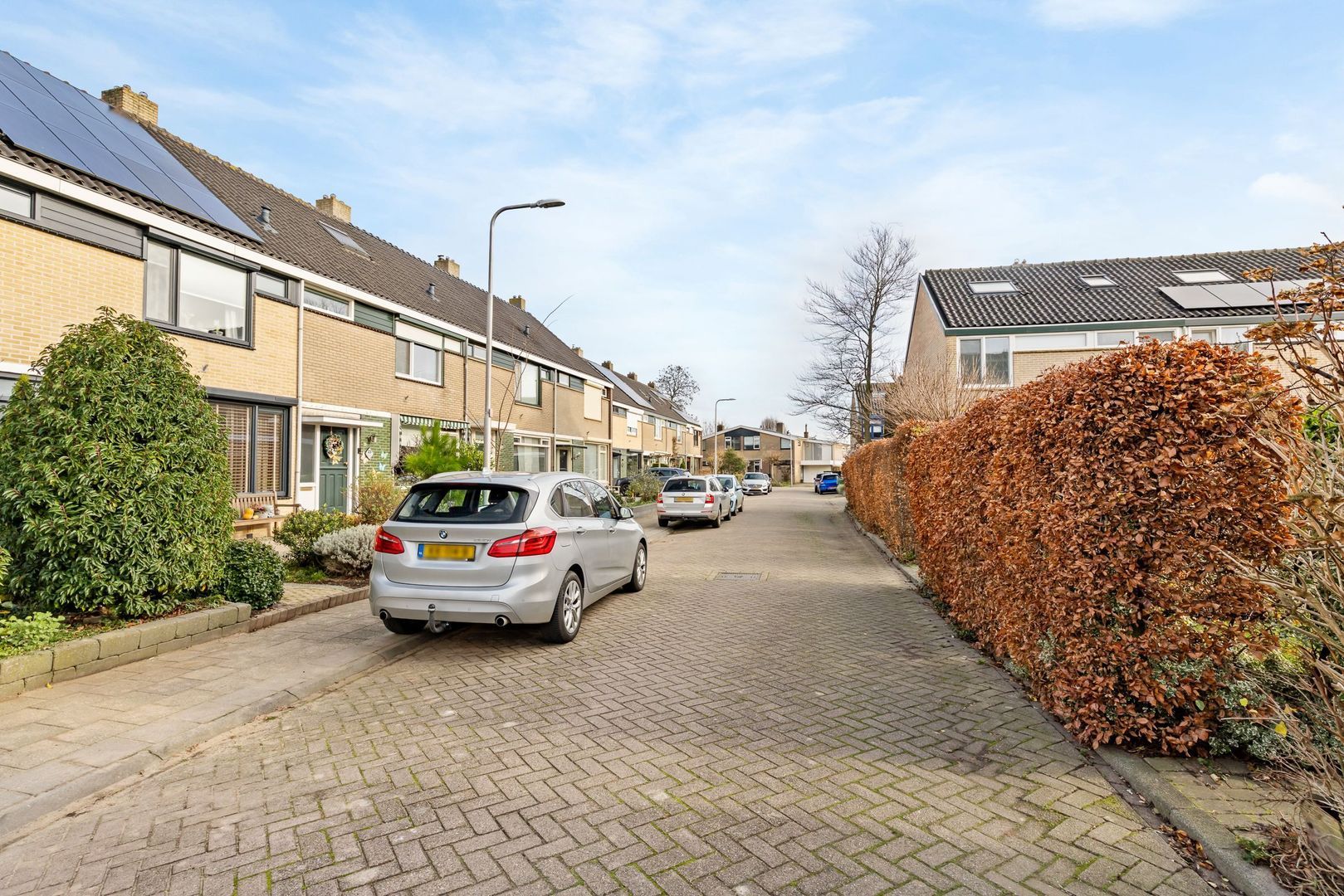 Kartuizerveld 19, Westmaas foto-36 blur