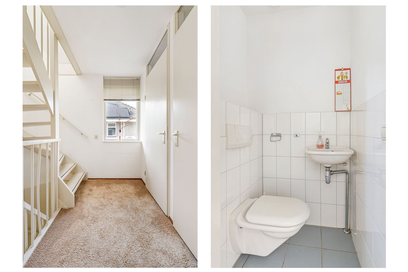 Rudolf Steinerpad 10, Oud-Beijerland foto-12 blur