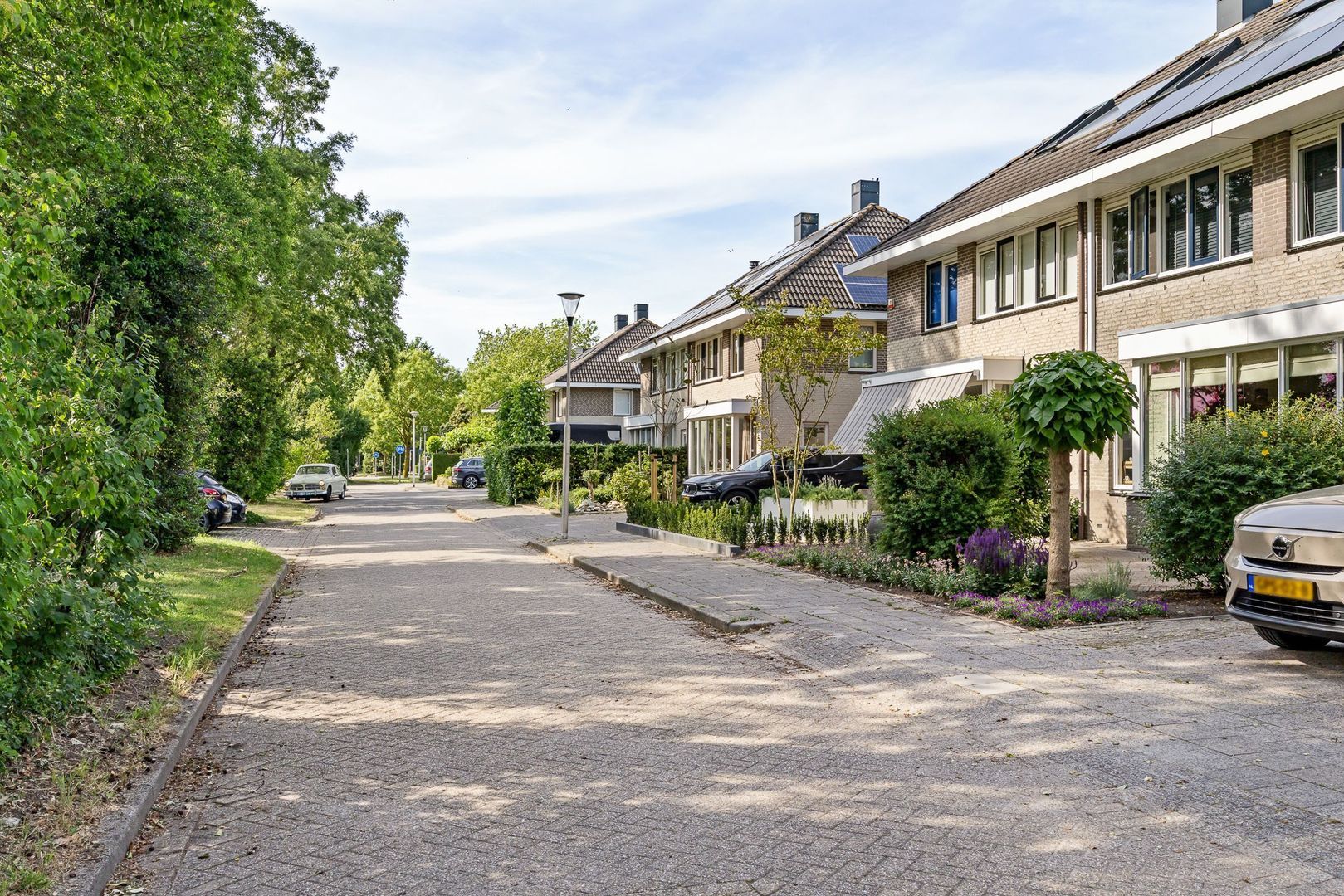 Rudolf Steinerpad 10, Oud-Beijerland foto-29 blur