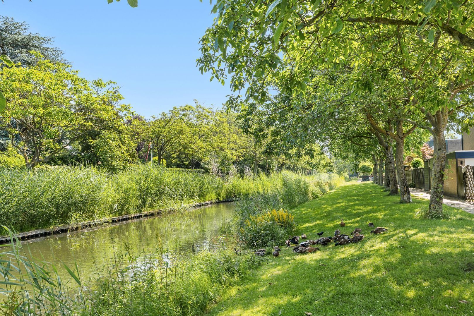 Jan Tooropstraat 47, Oud-Beijerland foto-33 blur