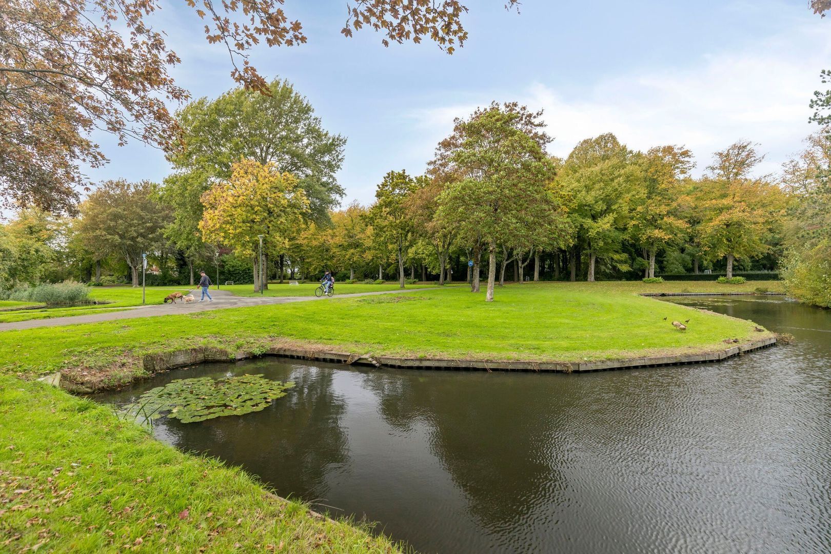Jan Tooropstraat 59, Oud-Beijerland foto-26 blur