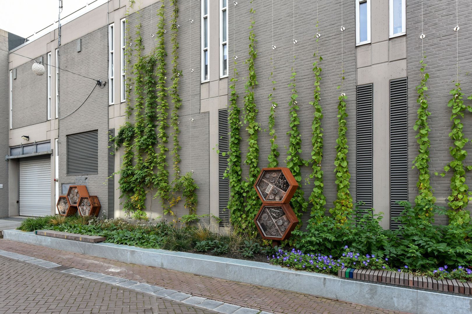 Zuidersteeg 20, Purmerend foto-18