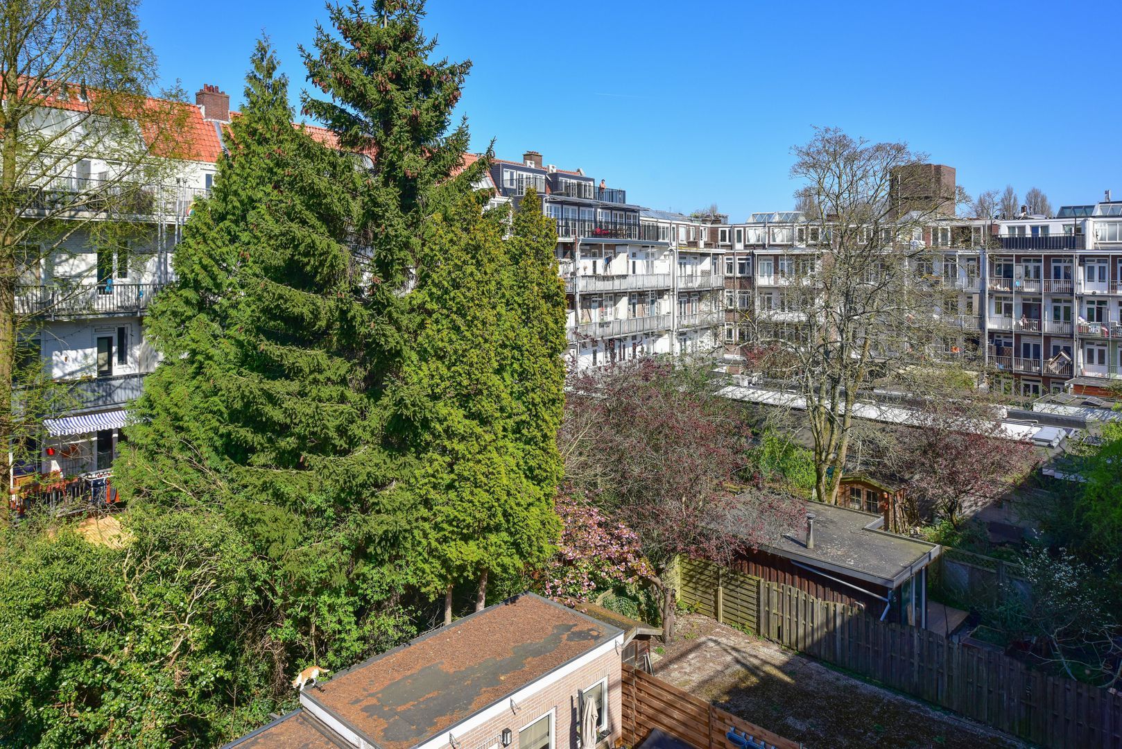 Nickeriestraat 26 2, Amsterdam foto-21