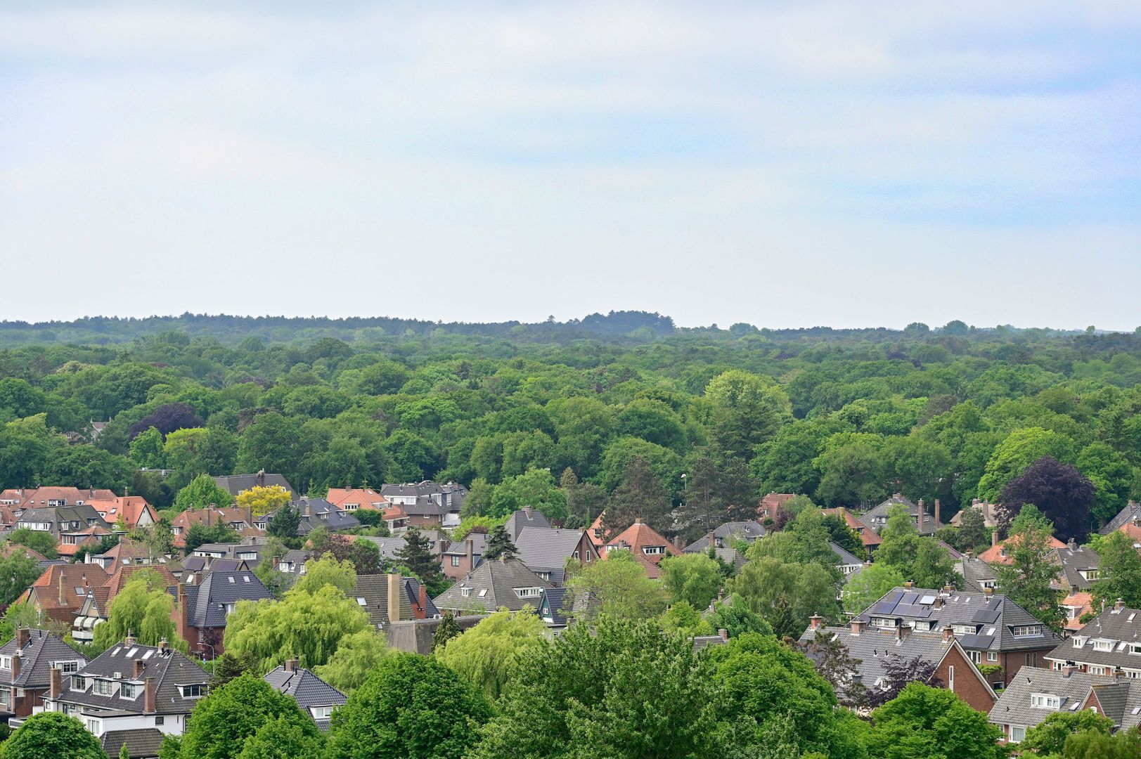 Van Leeuwenhoekstraat 5 0165, Haarlem foto-12
