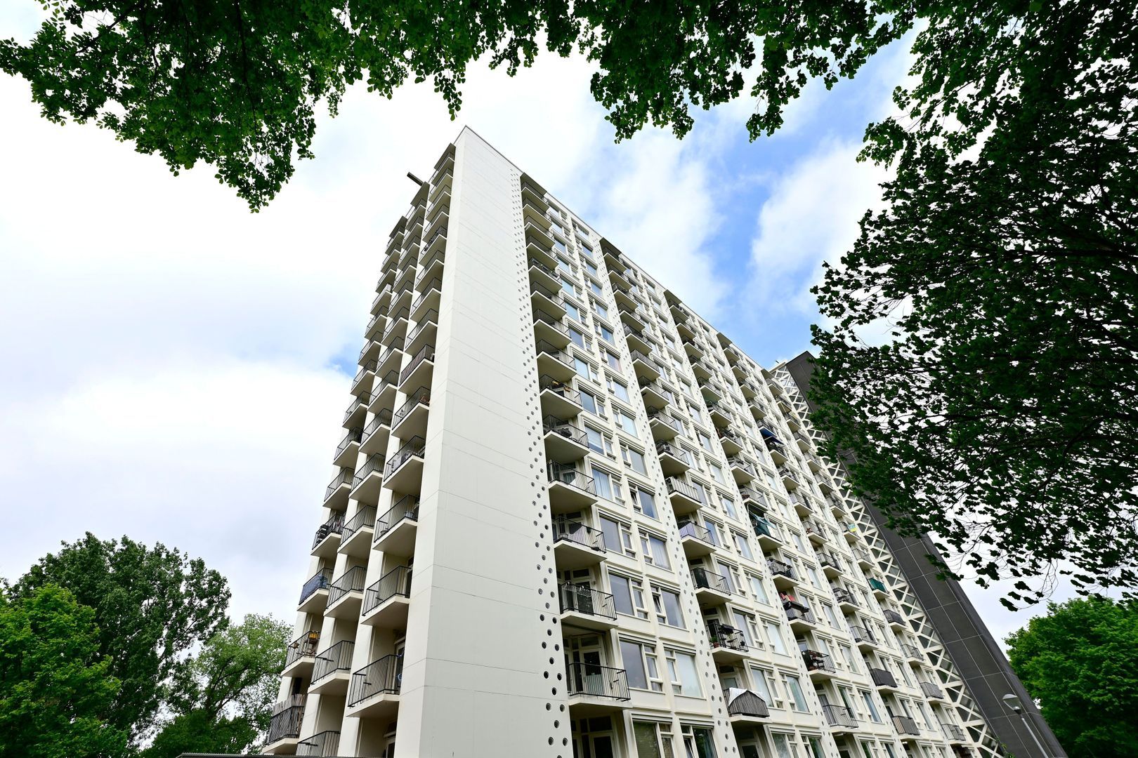 Van Leeuwenhoekstraat 5 0165, Haarlem foto-0