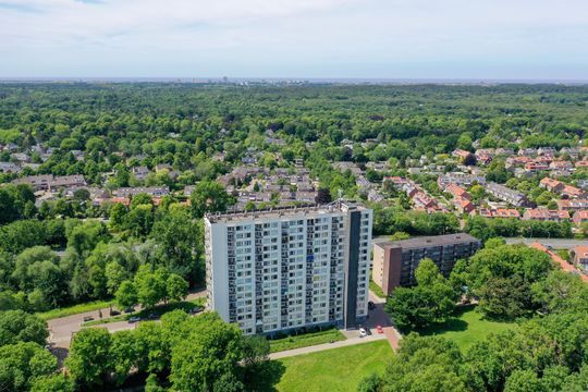 Van Leeuwenhoekstraat 5 0021, Haarlem