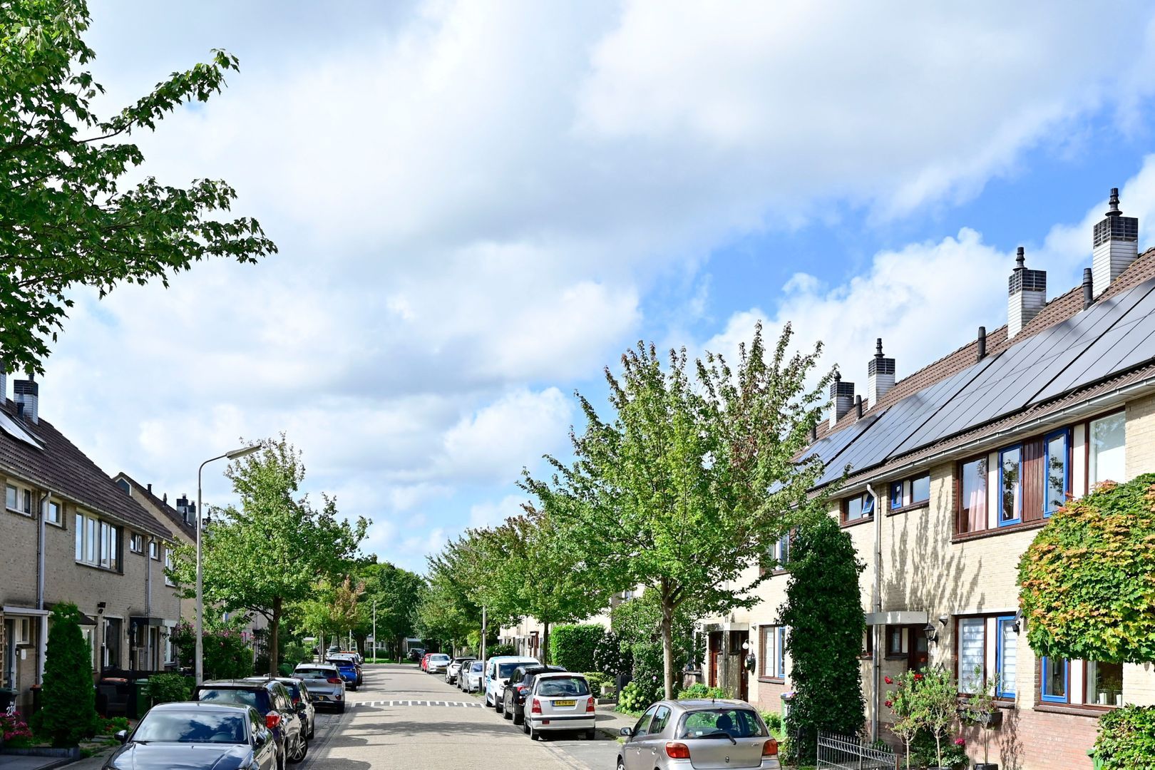 Floraronde 233, Velserbroek foto-20