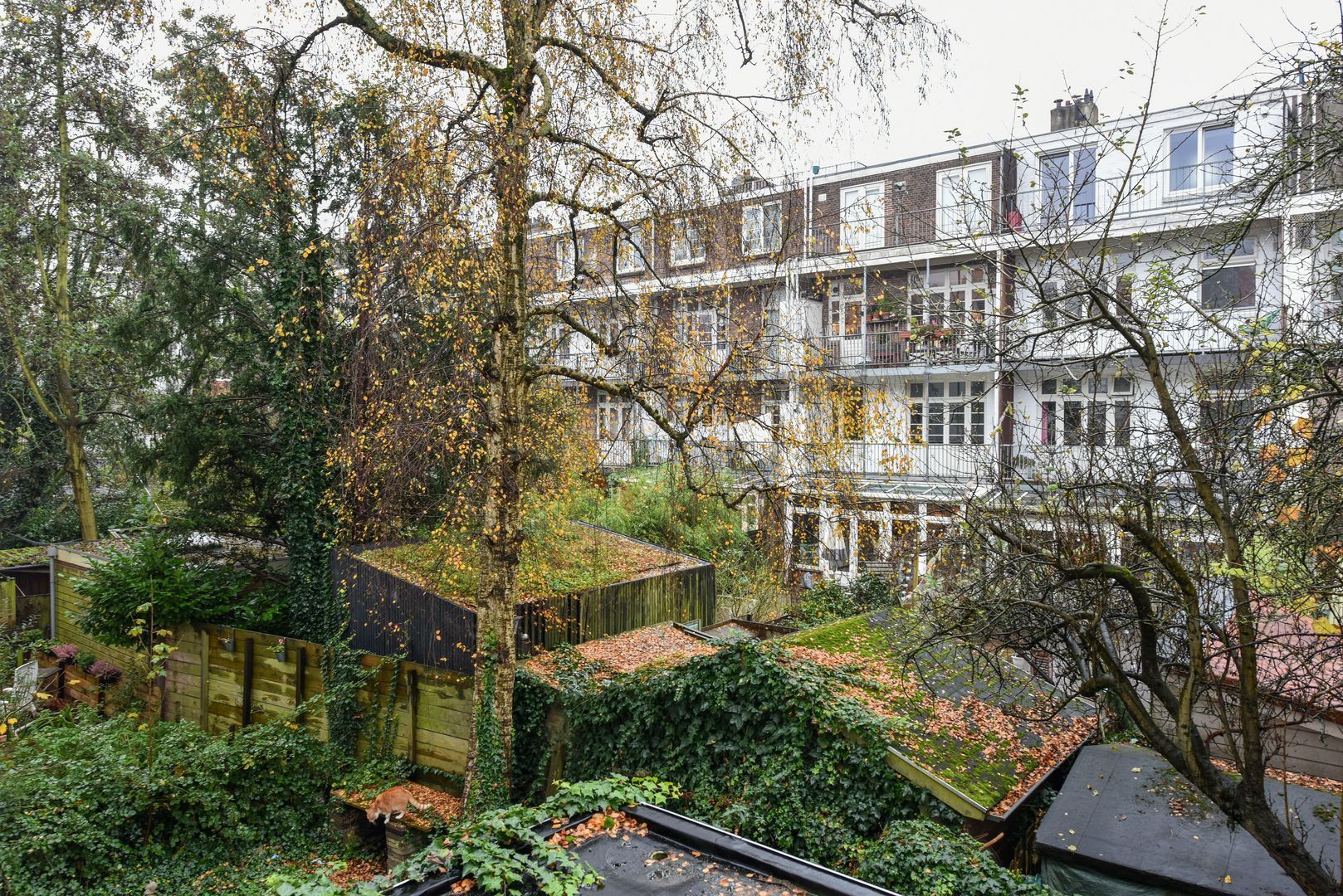 Van Spilbergenstraat 17 1, Amsterdam foto-7