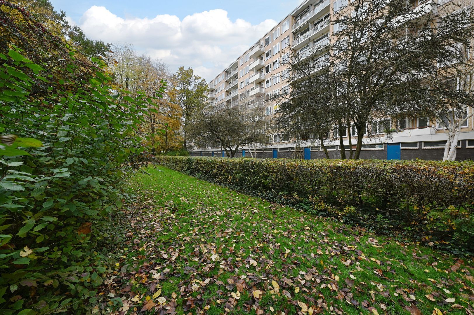 Van Nijenrodeweg 528, Amsterdam foto-24