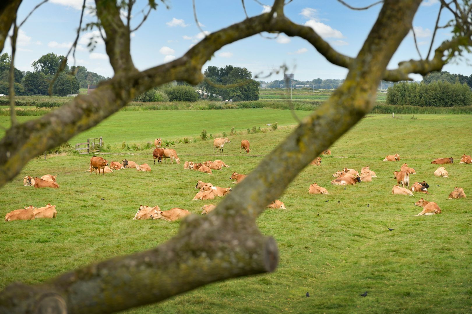 't Nopeind 12 A, Amsterdam foto-25