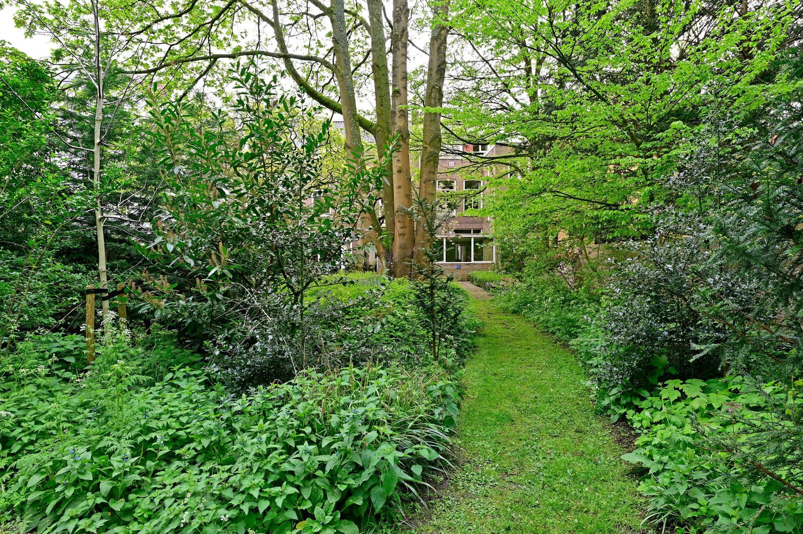 Paviljoenslaan 7, Haarlem foto-26