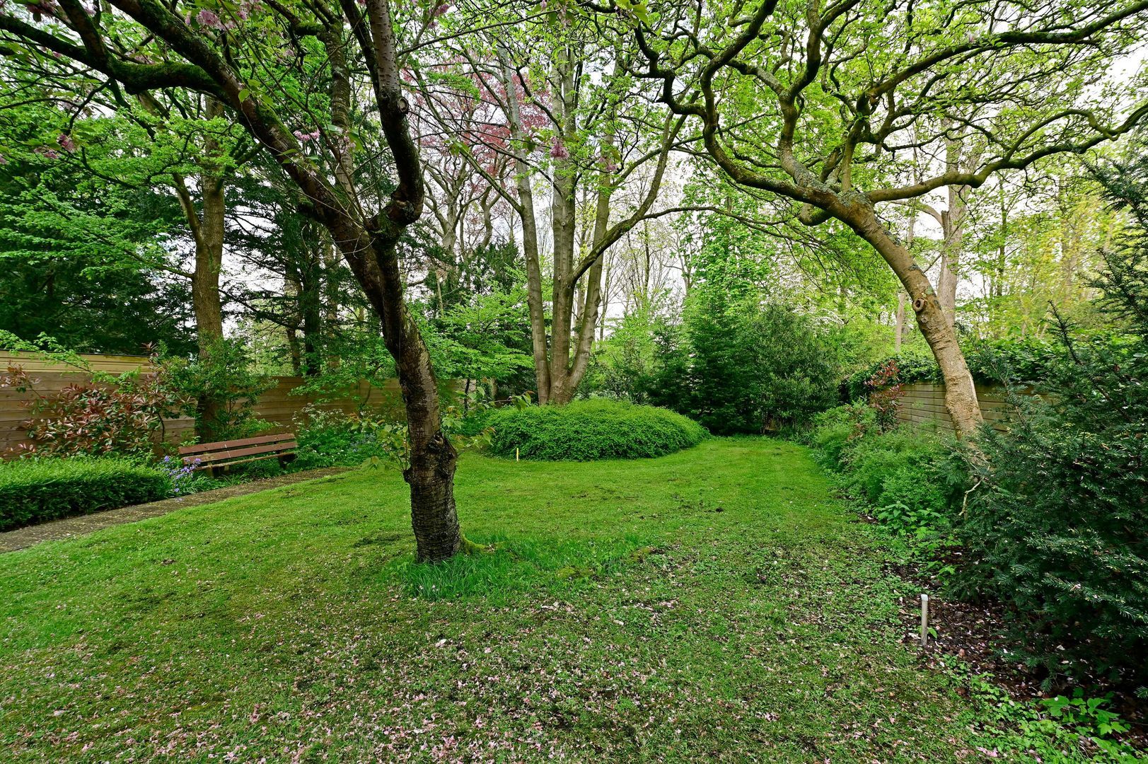 Paviljoenslaan 7, Haarlem foto-11