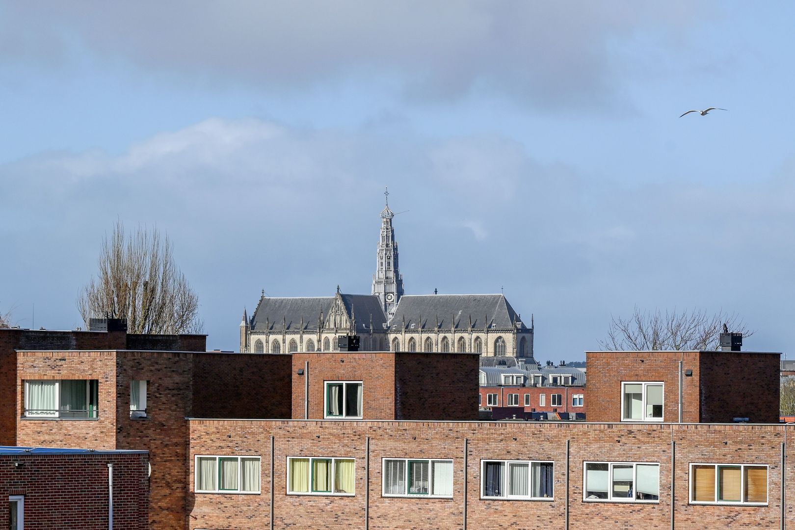 Pladellastraat 7 K, Haarlem foto-23